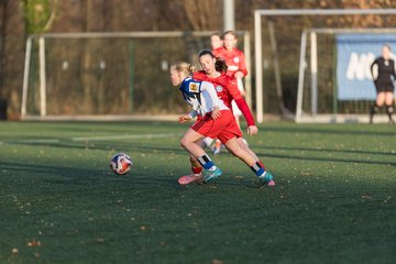 Bild 259 - wBJ Hamburger SV - Holstein Kiel : Ergebnis: 8:0
